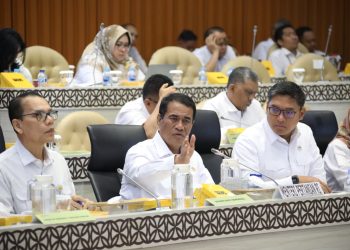 Harga Pangan Terkendali, Kementan Tuai Apresiasi Komisi IV DPR