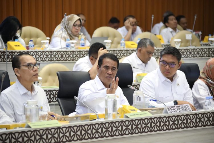 Harga Pangan Terkendali, Kementan Tuai Apresiasi Komisi IV DPR