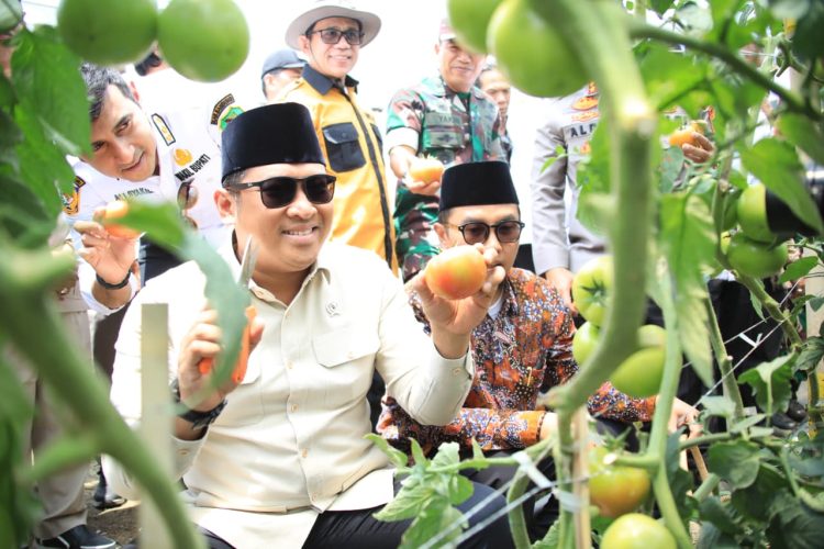 Wamentan Sudaryono Jadikan Pesantren Mitra Strategis Ketahanan Pangan!