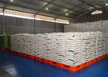 Pengamat: Indonesia Swasembada Beras, Stok Dunia Tertinggi Sepanjang Sejarah, Harga Global Anjlok!