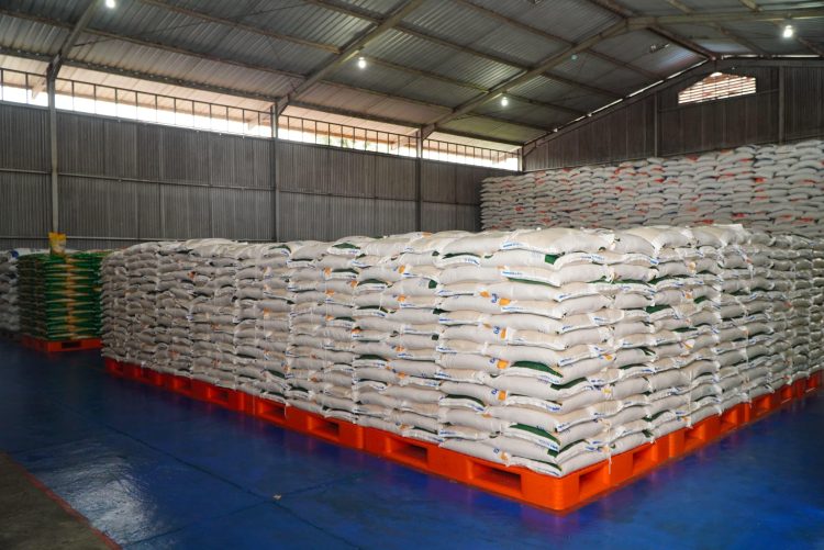 Pengamat: Indonesia Swasembada Beras, Stok Dunia Tertinggi Sepanjang Sejarah, Harga Global Anjlok!