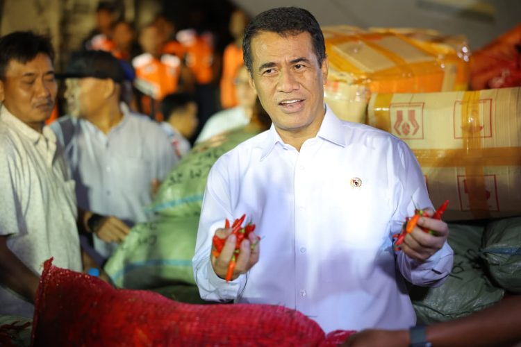 Hadapi Nataru, Pedagang Pastikan Pasokan Cabai Aman dan Harga Terkendali