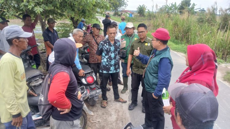DIREKTUR SAYURAN DAN TANAMAN OBAT KEMENTAN PERIKSA PERTANAMAN CABAI MERAH KERITING DI KABUPATEN BATU BARA