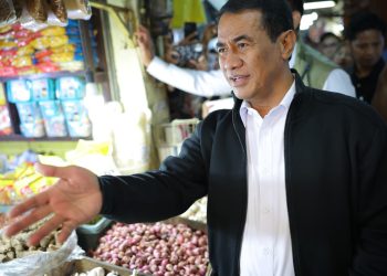 Sidak Pasar Jelang Nataru, Mentan Amran: Mayoritas Harga Pangan Stabil dan di Bawah HET