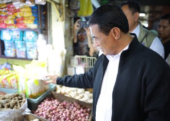 Impor Ilegal Bawang Bombai Terbongkar, Mentan Amran: Segera Tindak dan Telusuri, Tak Ada Toleransi