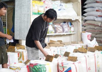 Mentan Amran Pastikan Stok dan Harga Pangan Aman Saat Natal dan Tahun Baru