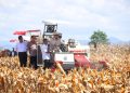 BPS: Produksi Jagung 2025 Naik 6,44%, Tembus 16,11 Juta Ton