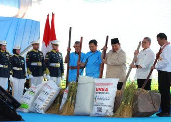 Presiden Prabowo Panen Raya Padi di Karawang, Tegaskan Arah Pertanian Modern Indonesia