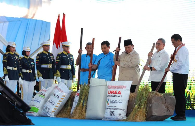 Presiden Prabowo Panen Raya Padi di Karawang, Tegaskan Arah Pertanian Modern Indonesia