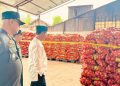Mentan Amran Sidak 133,5 ton Bawang Bombay Selundupan Berpenyakit : “Tidak Ada Ampun, Usut Sampai Akar”