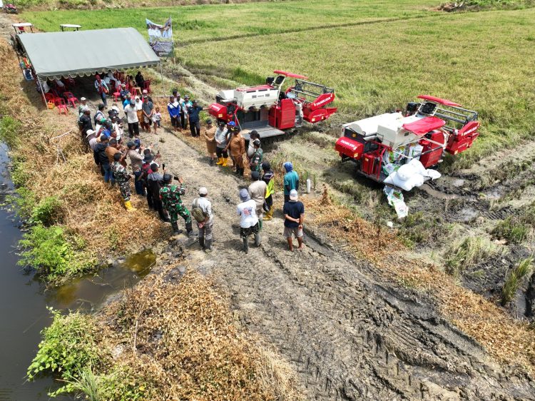 Pioner Cetak Sawah Masyarakat, Reinardus Ndiken Buktikan Masyarakat Adat Merauke Siap Bertransformasi