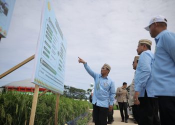 Di Hadapan 100 Ribu Petani dan Nelayan seluruh Indonesia di PENAS XVll, Presiden Prabowo Pastikan Swasembada Pangan Berkelanjutan