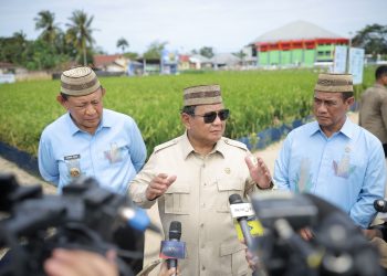 Tinjau Teknologi Tanam PM-AAS, Presiden Prabowo Sebut Inovasi Pertanian Revolusioner