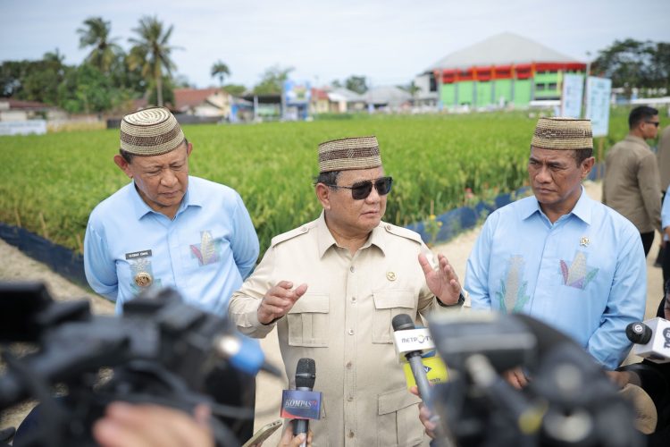 Tinjau Teknologi Tanam PM-AAS, Presiden Prabowo Sebut Inovasi Pertanian Revolusioner