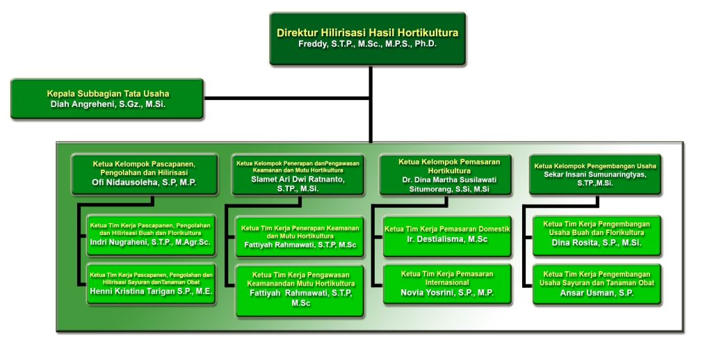H2H juli 2026