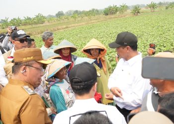 Mentan Amran Siapkan Aturan Baru agar Buruh Tani Bisa Dapat Alsintan