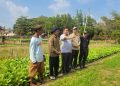 Perkuat Akses Pasar dan Hilirisasi, Kementan Dorong Potensi Hortikultura Tanah Bumbu