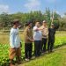 Perkuat Akses Pasar dan Hilirisasi, Kementan Dorong Potensi Hortikultura Tanah Bumbu