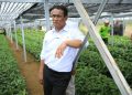 Mentan Amran Perkuat Kopi-Kakao Lampung, 2,6 Juta Bibit Disiapkan untuk 18 Ribu Hektare