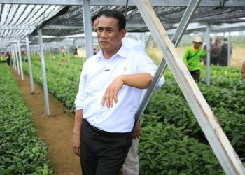 Mentan Amran Perkuat Kopi-Kakao Lampung, 2,6 Juta Bibit Disiapkan untuk 18 Ribu Hektare