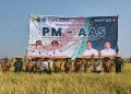 Mentan Amran Dorong Pertanian Modern, Panen PM-AAS di Berbagai Daerah Tembus 10 Ton per Hektare