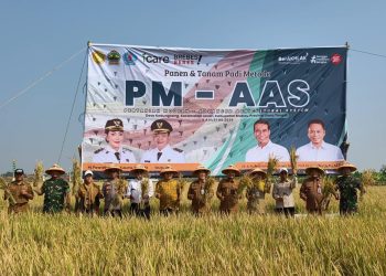 Mentan Amran Dorong Pertanian Modern, Panen PM-AAS di Berbagai Daerah Tembus 10 Ton per Hektare