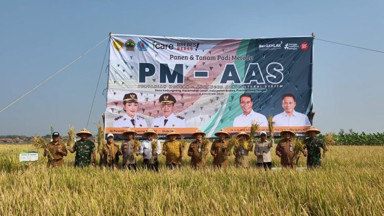 Mentan Amran Dorong Pertanian Modern, Panen PM-AAS di Berbagai Daerah Tembus 10 Ton per Hektare