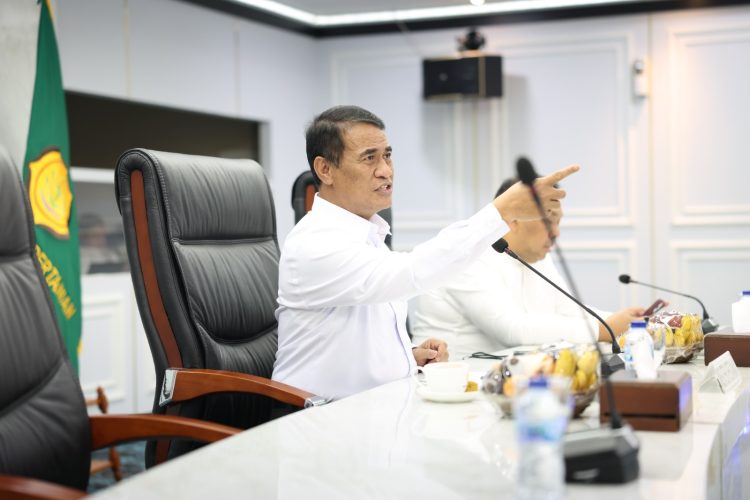 Harga Singkong Naik, MSI Apresiasi Kebijakan Mentan Amran Stop Impor