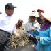 Kesejahteraan Petani Terus Menguat, NTP September 2026 Tembus 131,11