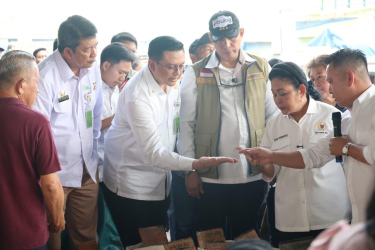 Komisi IV DPR Pastikan Stok Beras Aman, Produksi Padi 2026 Terjaga