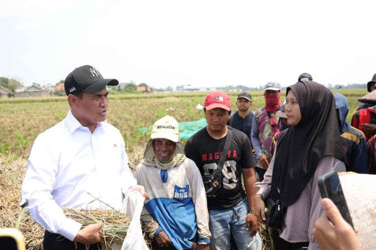 Dua Tahun Prabowo-Gibran, Emrus: Mentan Amran Satu-satunya Menteri Berkinerja Terbaik