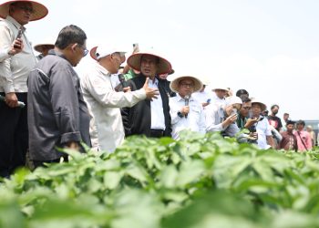 Mentan Amran Dorong Pengembangan Kedelai 5.000 Hektare di Grobogan dengan UGM